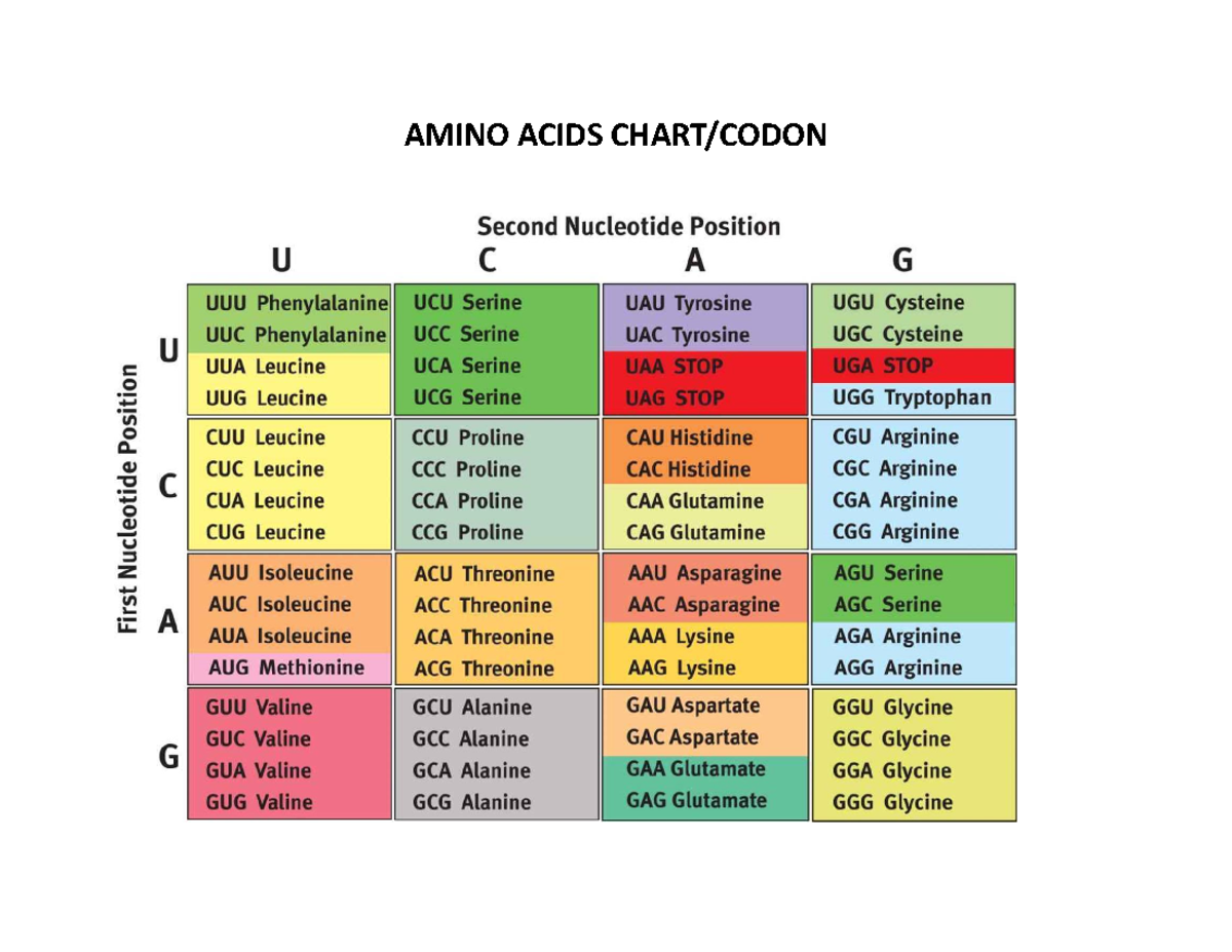 Amino Acids Chart - science biology - AMINO ACIDS CHART/CODON Second ...