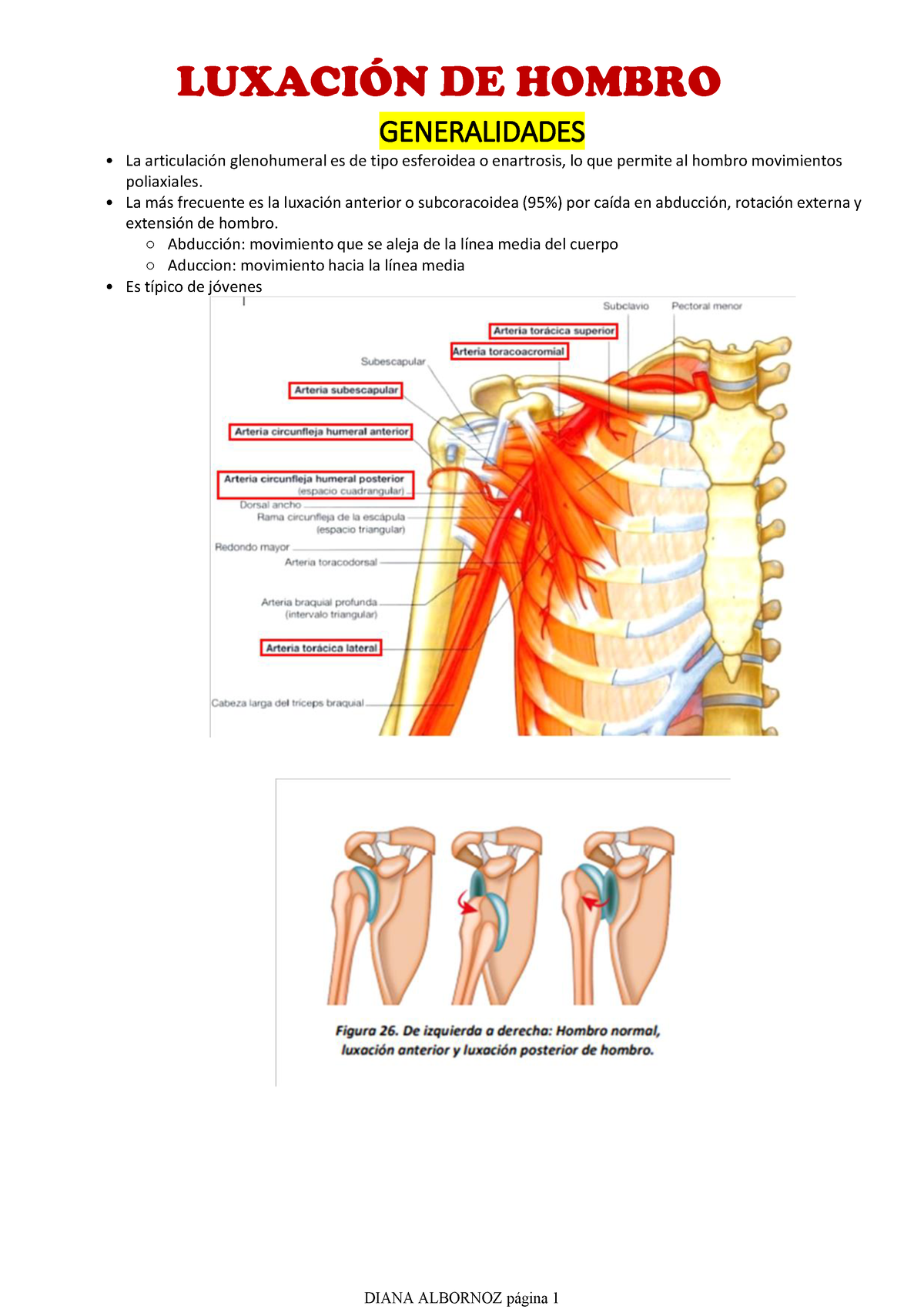 Luxación De Hombro - Traumatología - Resumen Corto - GENERALIDADES La ...