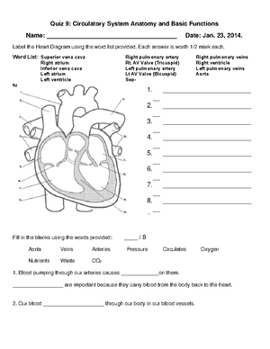 Adrenal glands, principles of anatomy and physiology - Medical ...