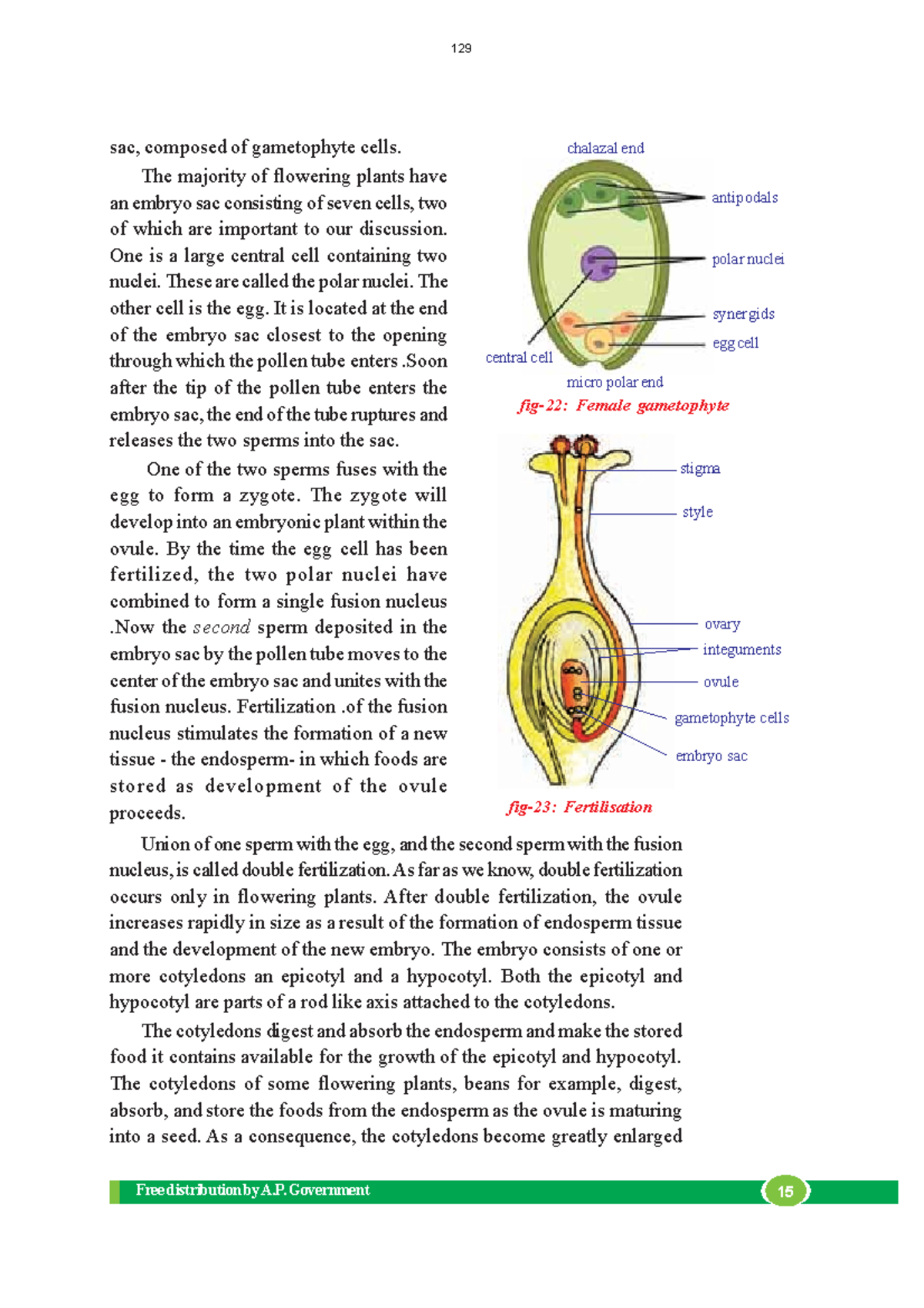 Class biology study material part 17 - Free distribution by A ...