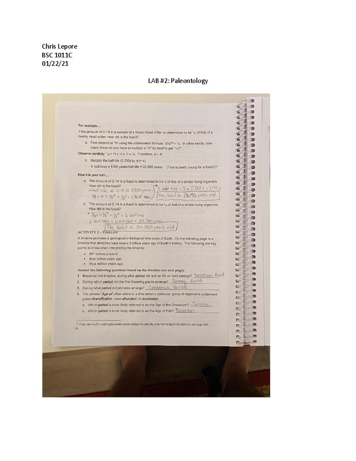 LAB 2 Paleontology Bio 2 Lab 2 with answers BSC 1011H Chris Lepore BSC 1011C 01/22/ LAB
