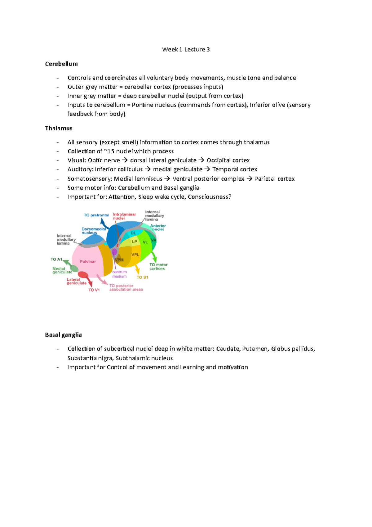 Week 1 Lecture notes (lec 3) - Week 1 Lecture 3 Cerebellum Controls and ...
