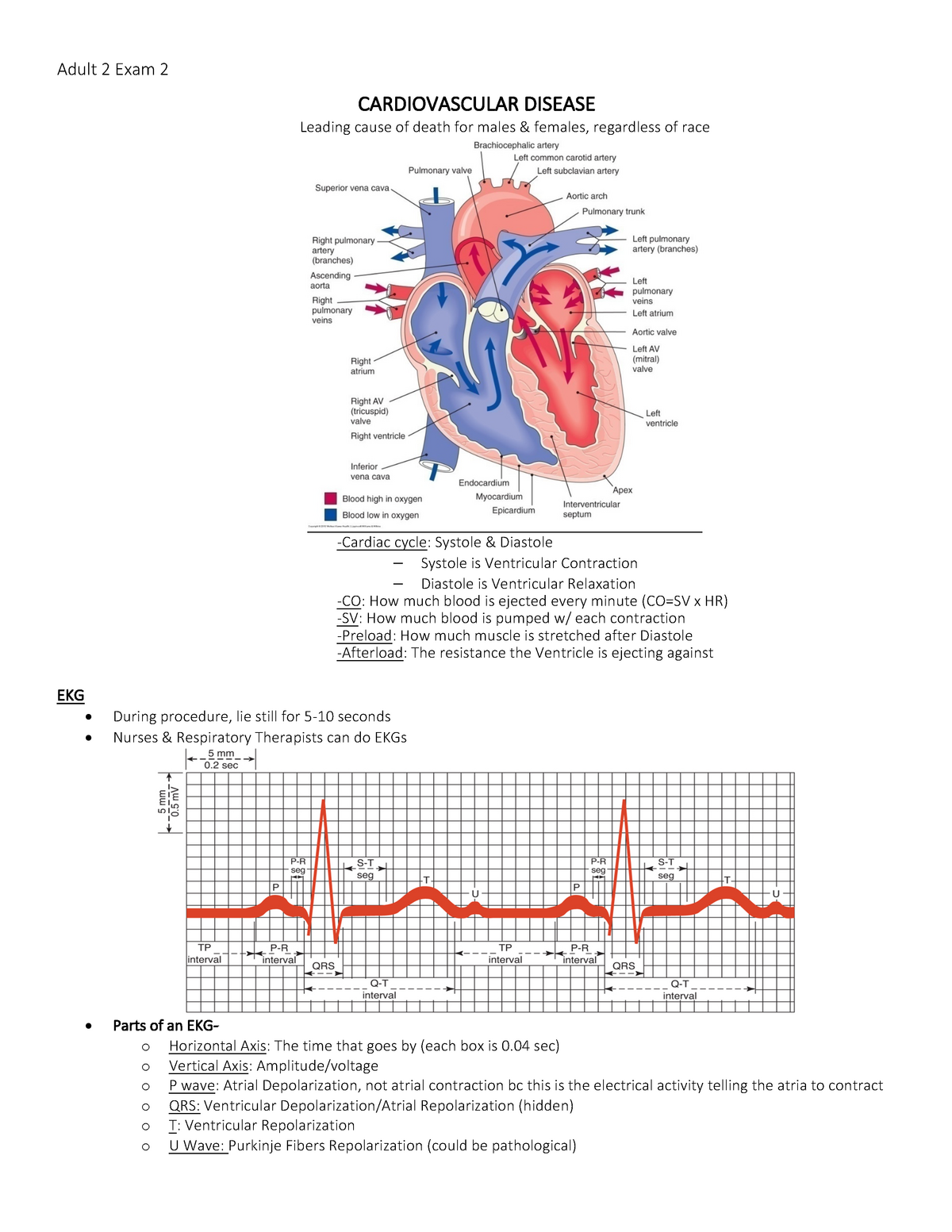 Cardiac Study Guide - Credits To Hellotiffyrn Visit Her Website: - Studocu