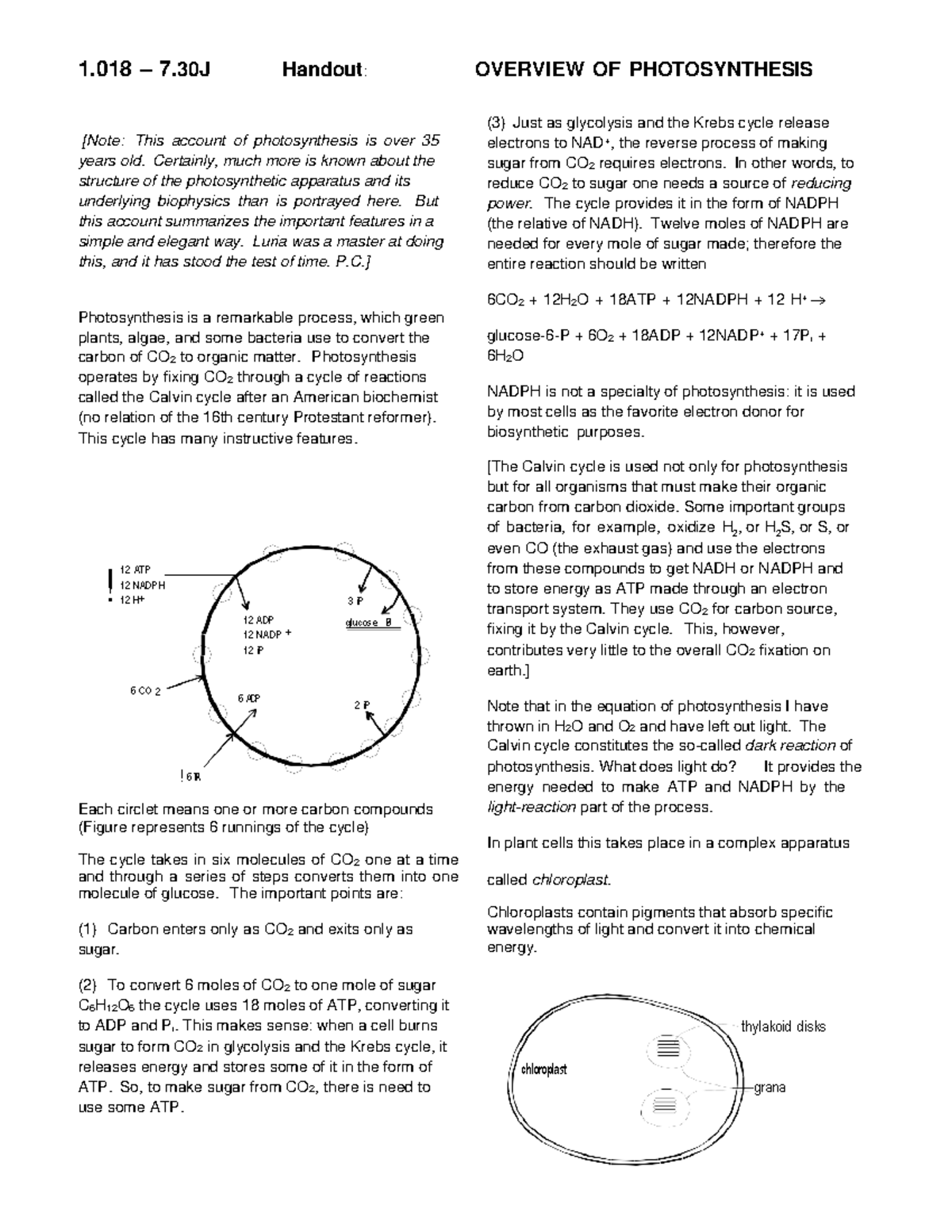 Overview OF Photosynthesis - 1 – 7 Handout: [Note: This account of ...