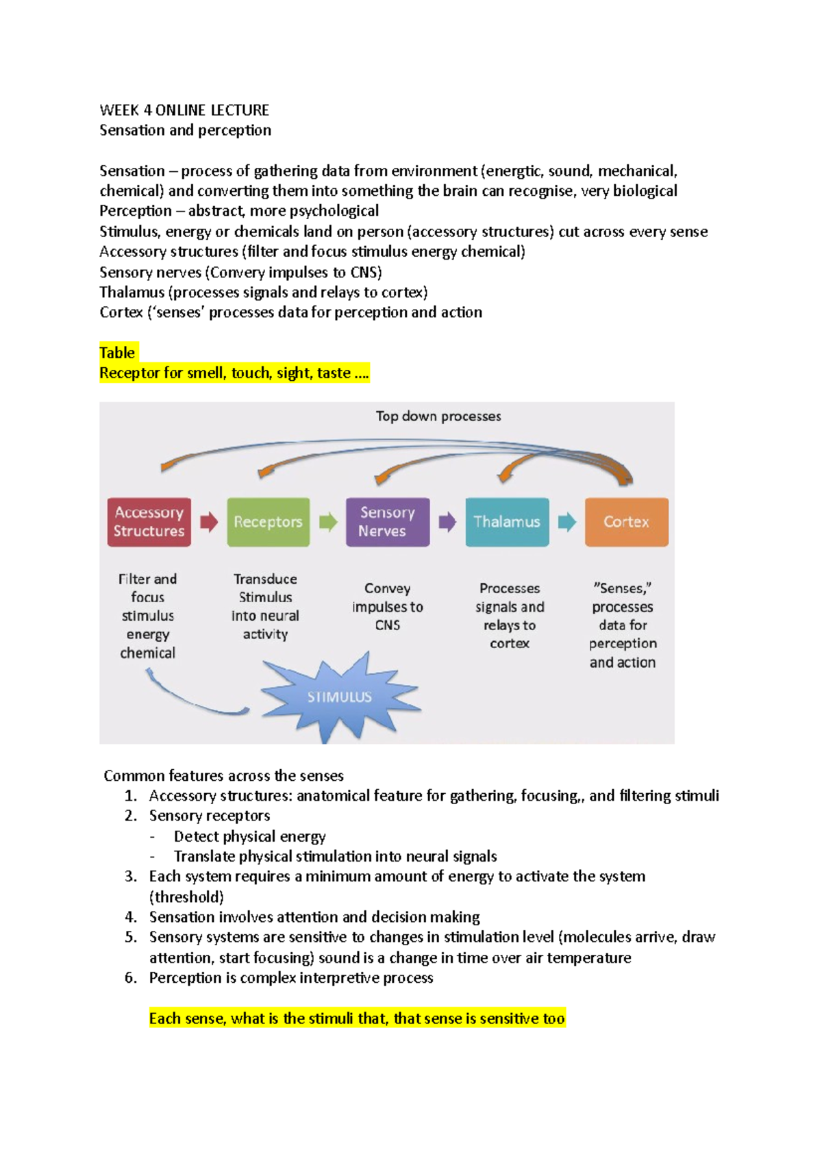 WEEK 4 Online Lecture - Notes - WEEK 4 ONLINE LECTURE Sensation and ...