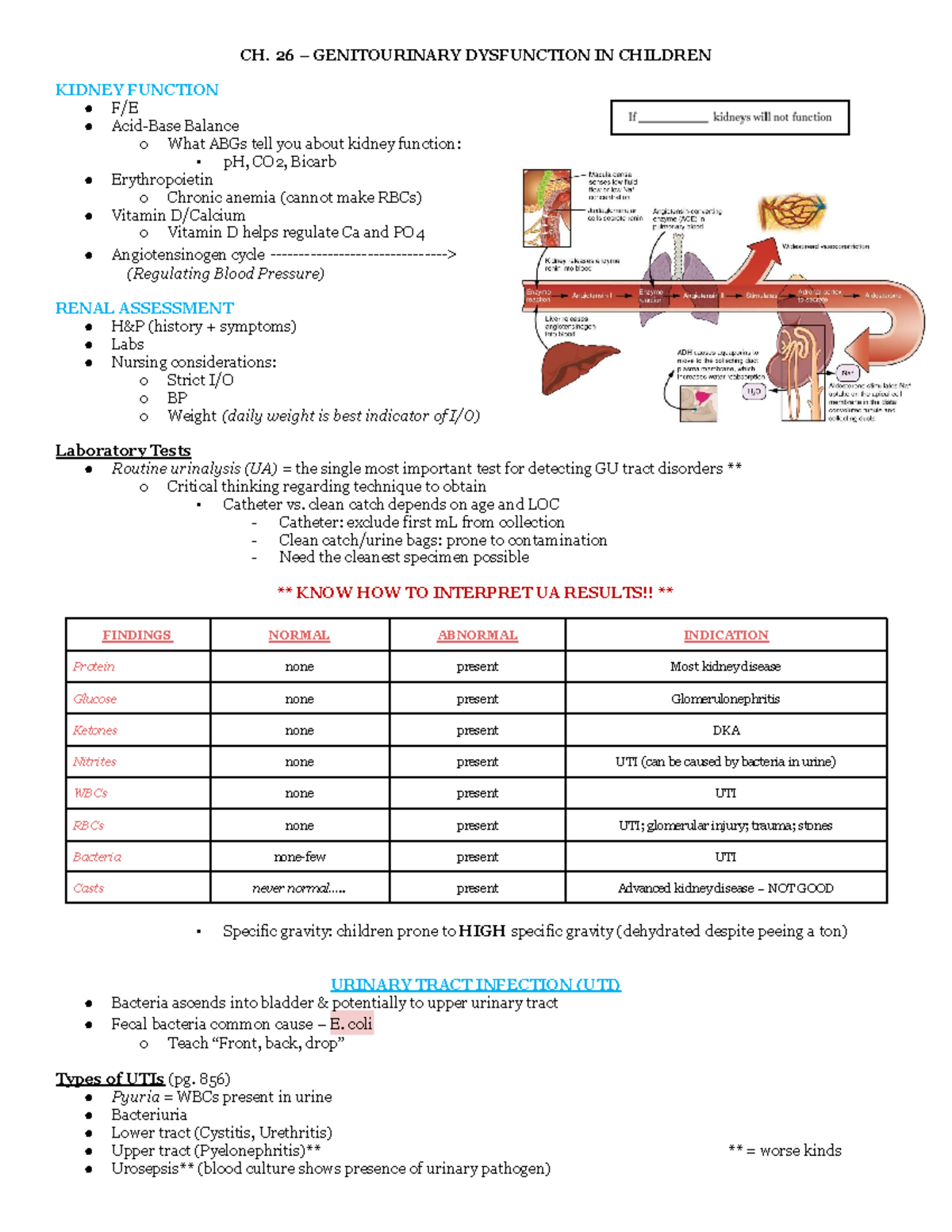 Genitourinary Dysfunction in Children: Kidney Function Urinary Tract ...