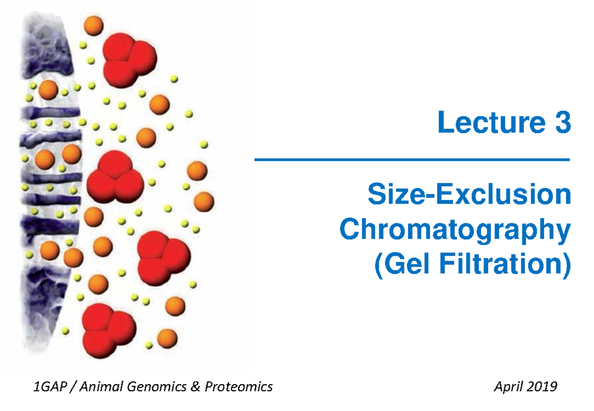 Lecture 3 SizeExclusion Chromatography Lecture 3 SizeExclusion