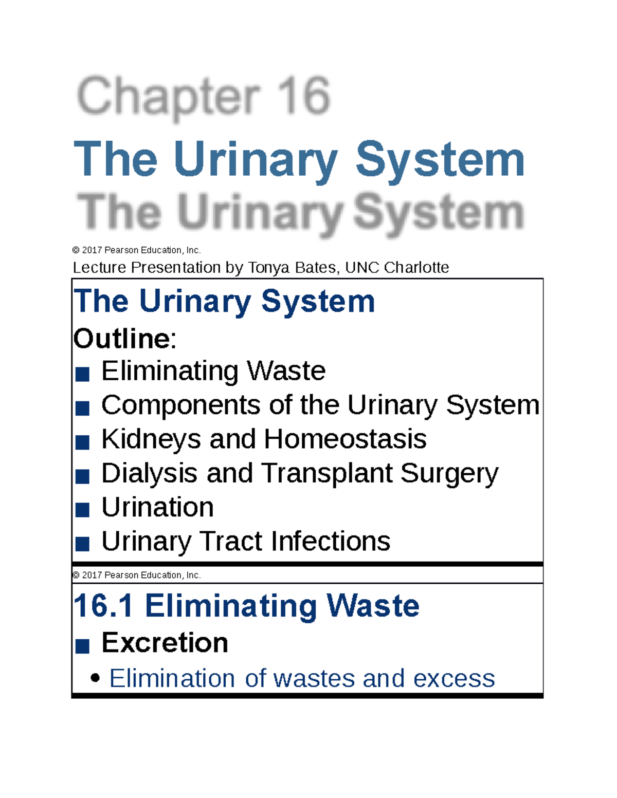 BIO 140 Chapter 16 The Urinary System - The Urinary System © 2017 ...