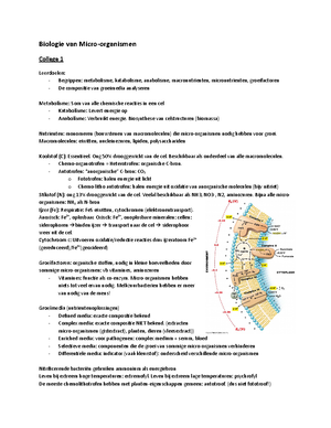 Solved Wat Is De Juiste Volgorde Van Kleuring Bij Gram Kleuring Bij Biologie Van Micro