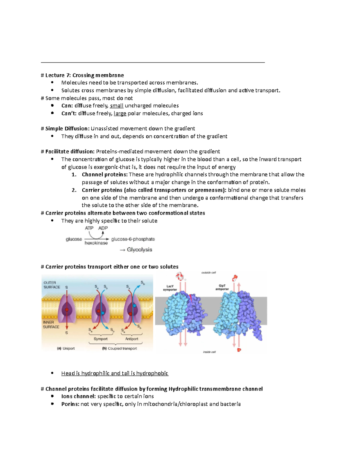 Cell Biology Lecture 7