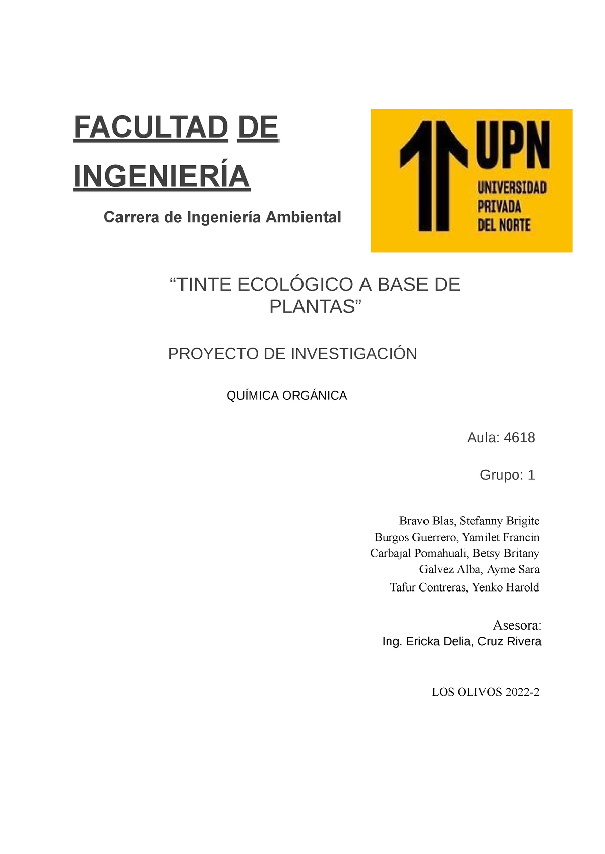 Primeravancegrupo1docx1 Facultad De IngenierÍa Carrera De Ingeniería Ambiental “tinte 9347