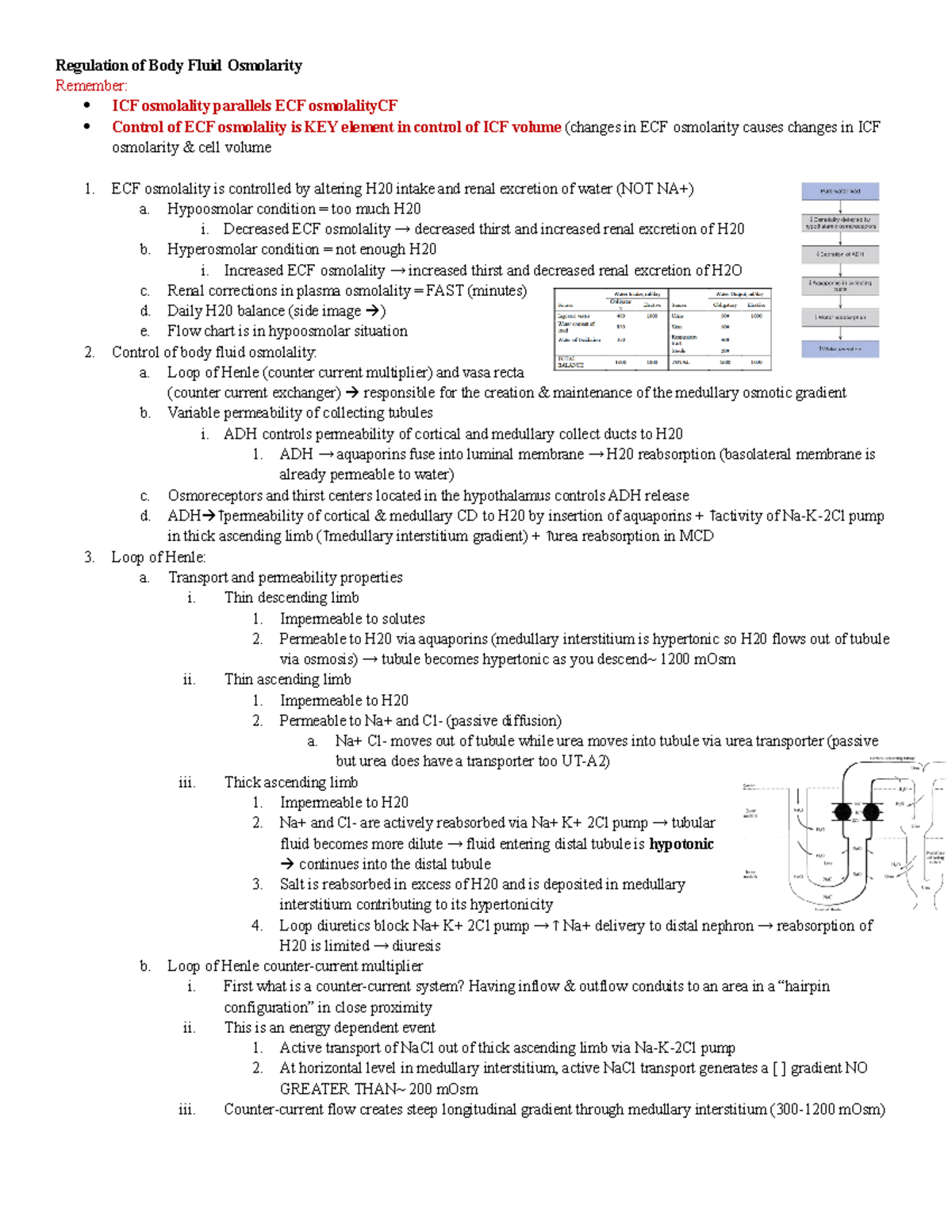 L8 Regulation of body fluid osmolality study guide - Regulation of Body ...