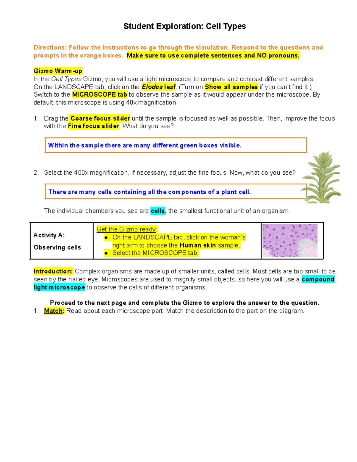 Conor Guiney - 03.21 BIO, HN Gizmo Cell Types (Part A) Microscope ...