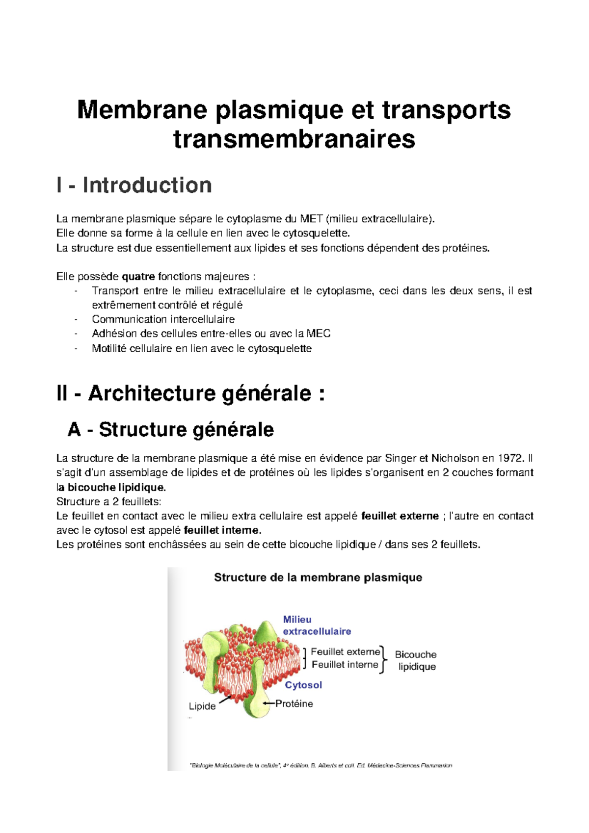 complexe protéique transmembranaire rhésus