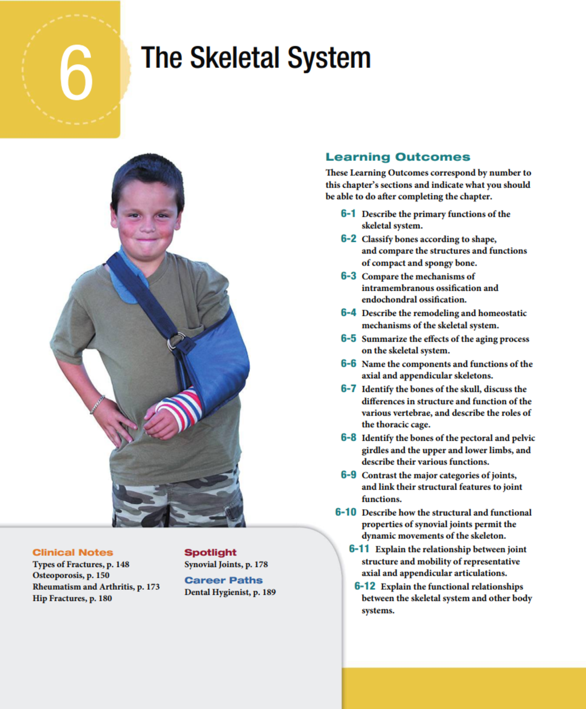 Chapter 6 - Skeletal System - NURS 303 - Studocu