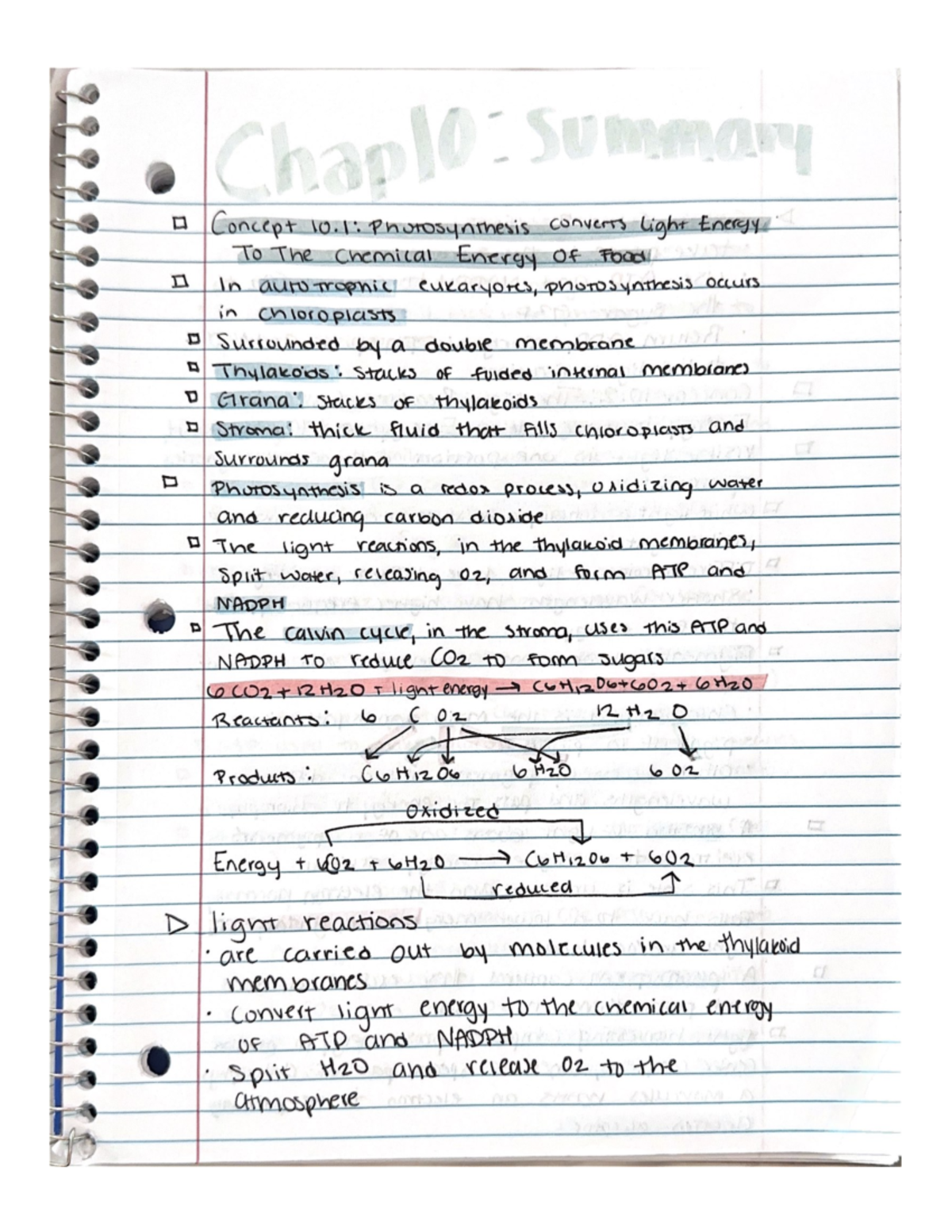 Chapter 10 summary - BSC2010 - Studocu