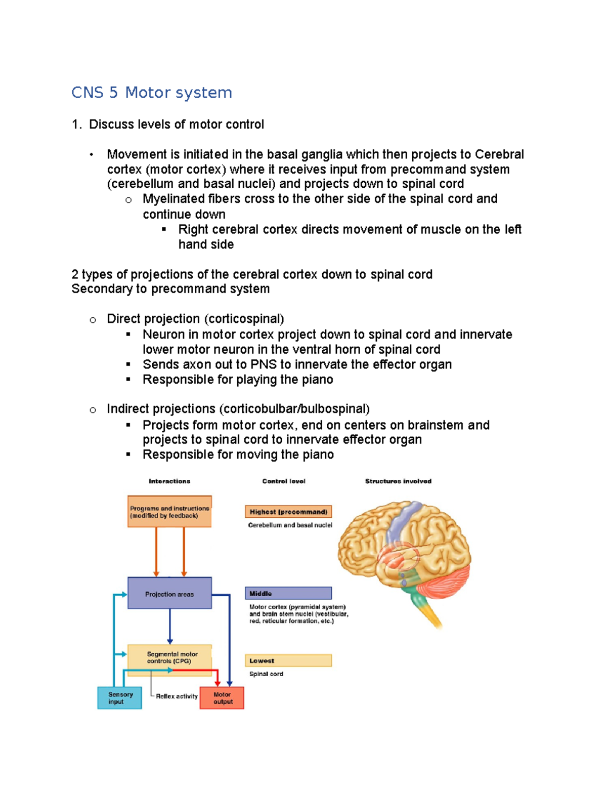 CNS 5 Motor system CNS 5 Motor system Discuss levels of motor control