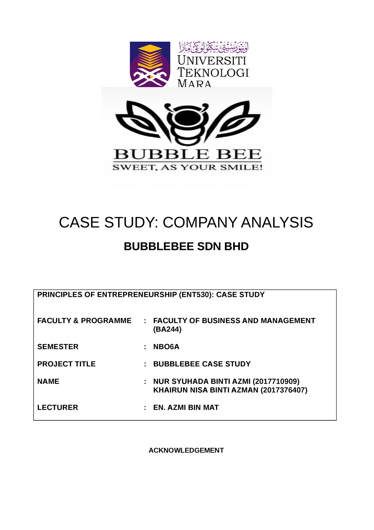 executive summary case study ent530