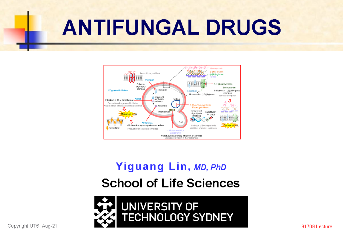 Antifungals Lecture Yiguang Lin, MD, PhD School of Life Sciences