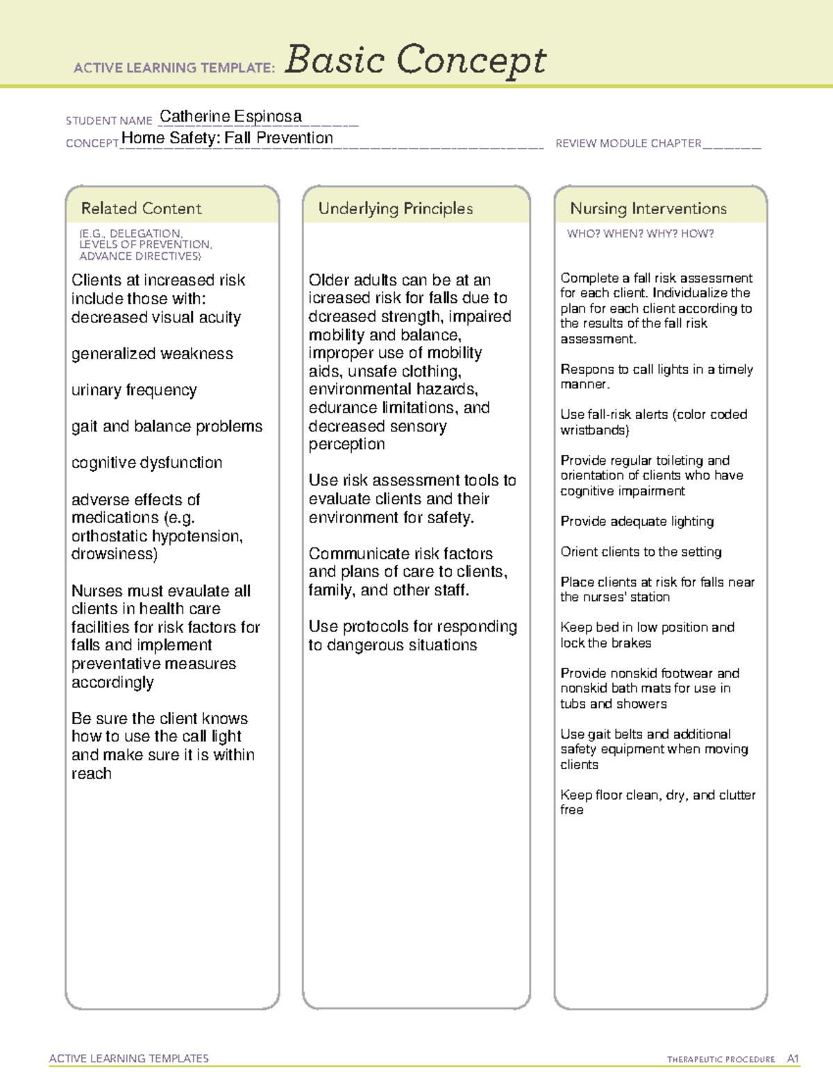 Home Safety Fall Prevention Basic Concept Map - ACTIVE LEARNING