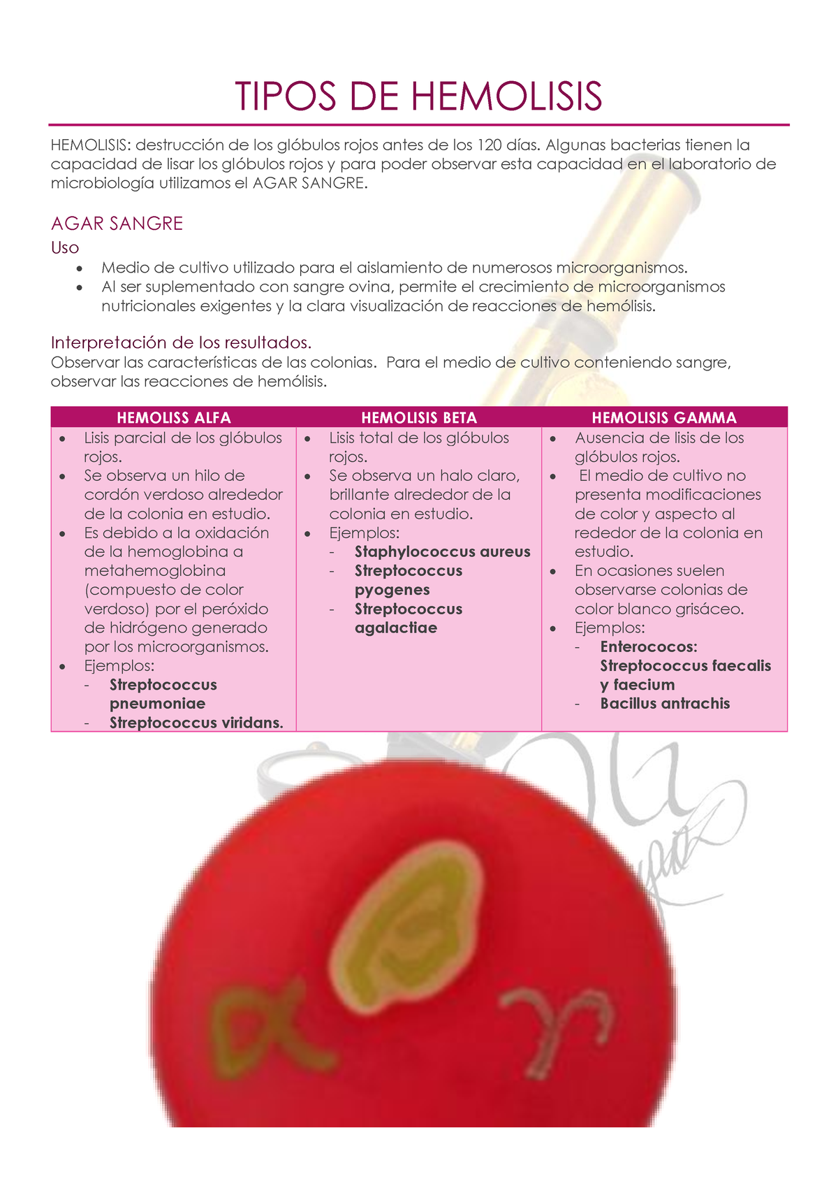 hemólisis alfa en agar sangre