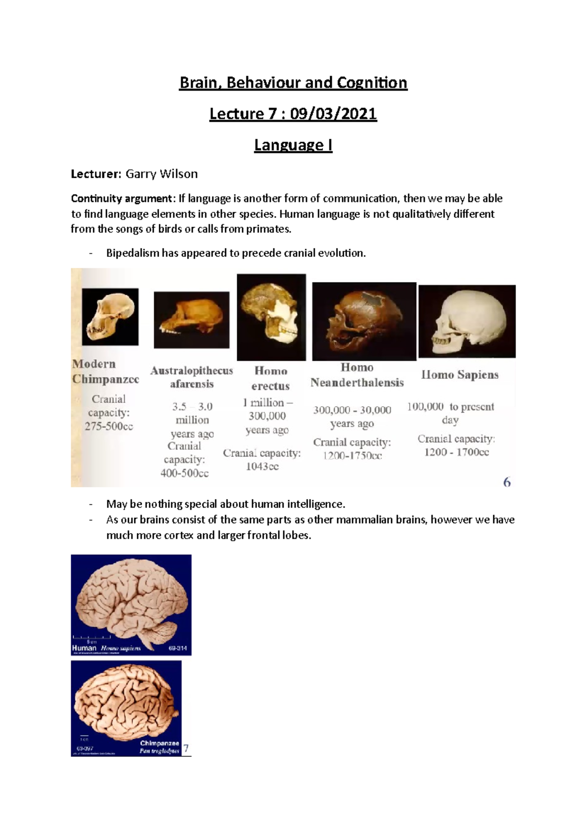 BBC - L7 - Language I - Brain, Behaviour and Cognition Lecture 7 : 09 ...