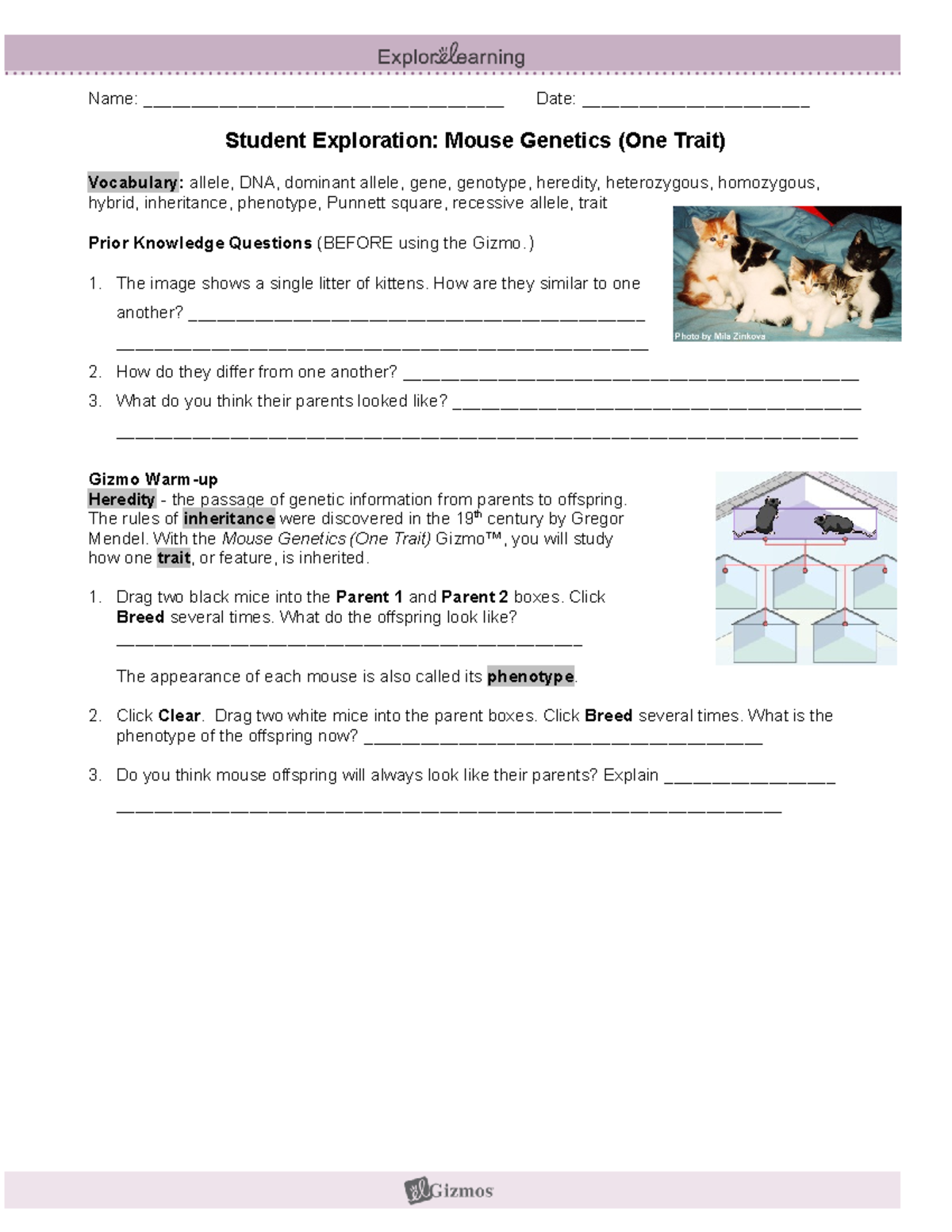 Mouse one trait SE Name