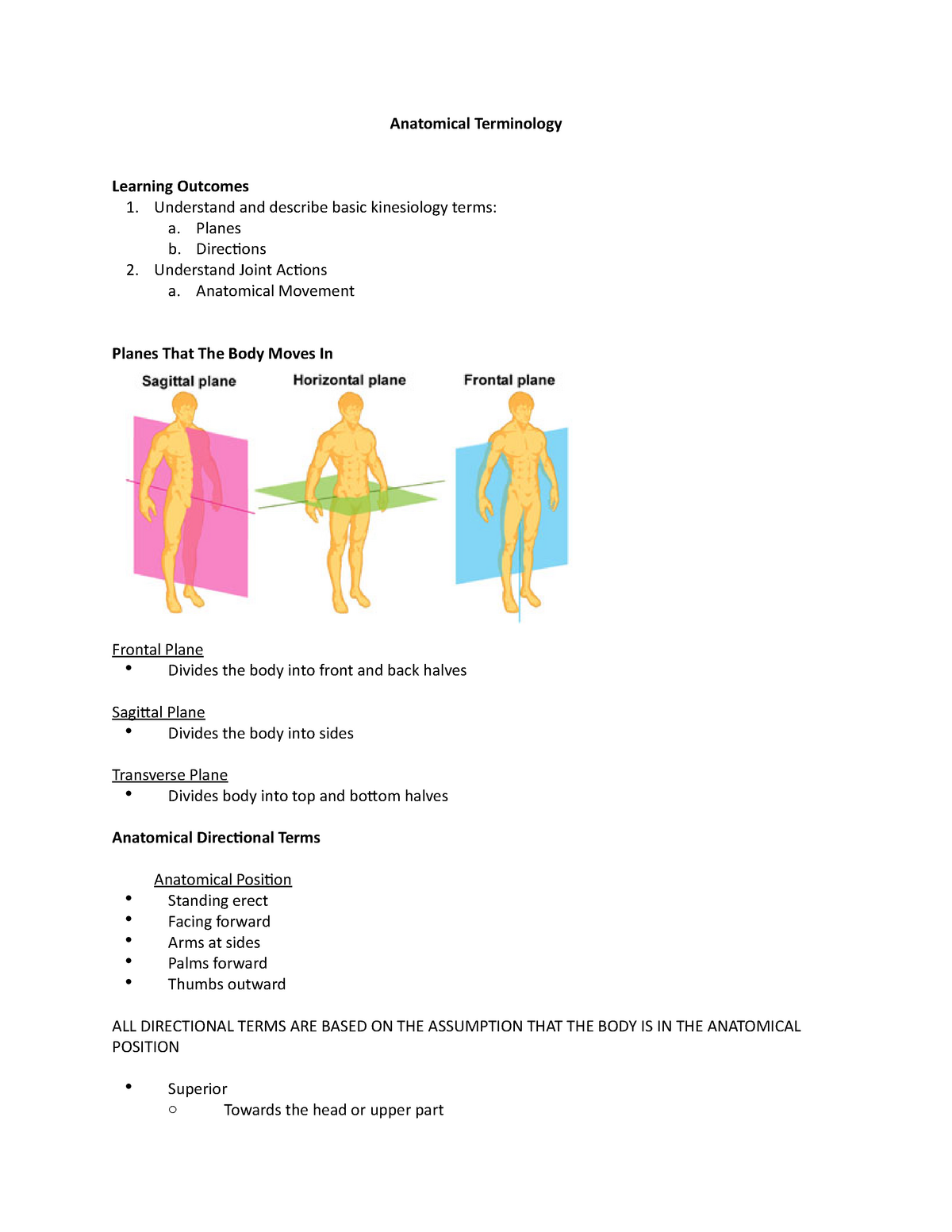 anatomical-terminology-anatomical-terminology-learning-outcomes-1