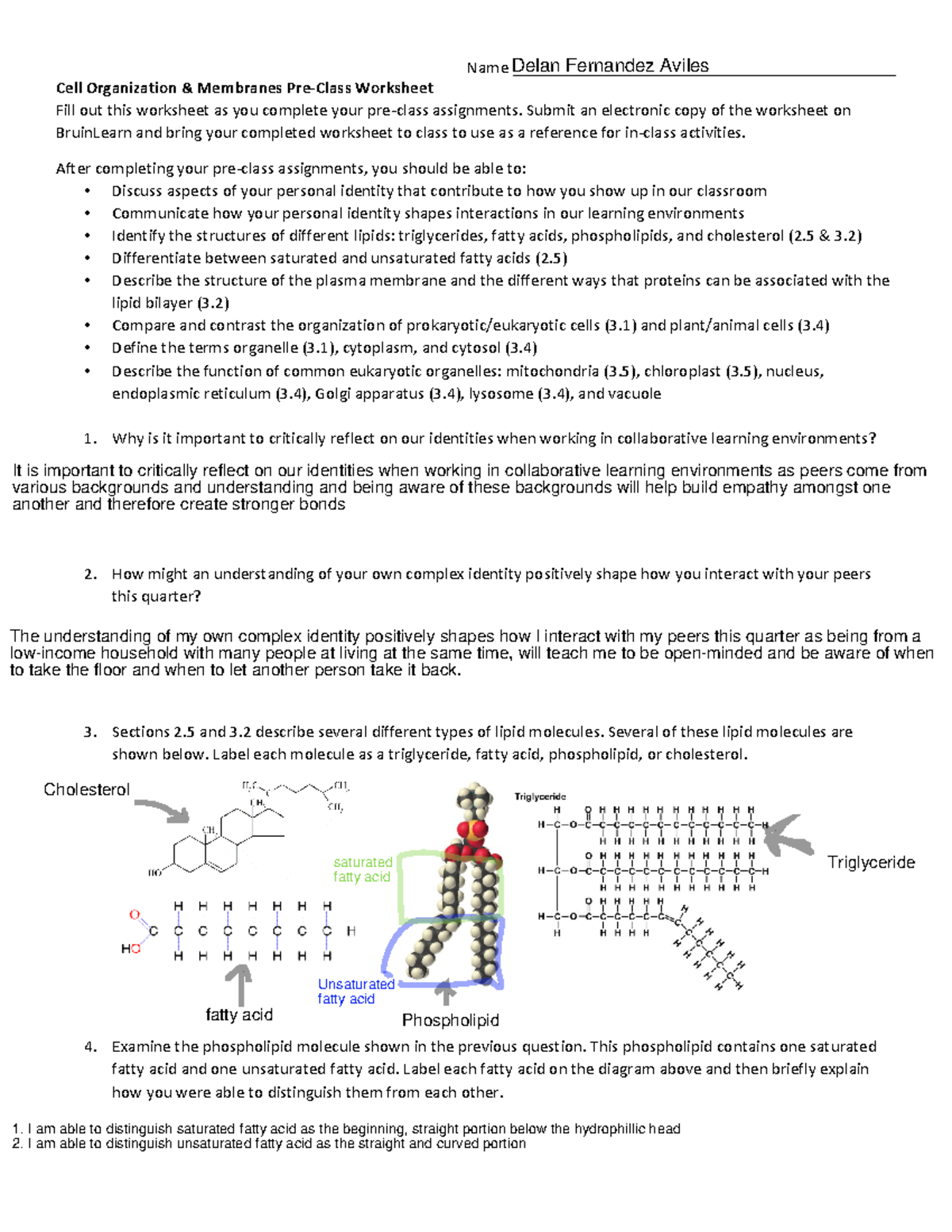 Week 2a Identity, Cells & Membranes v2 - Name