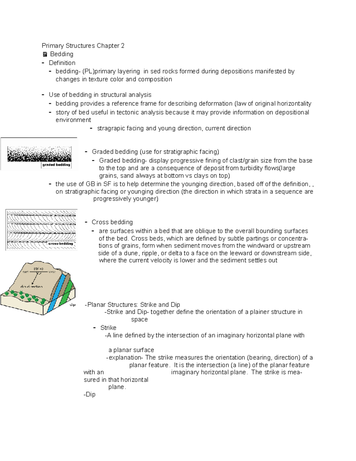 if-you-find-this-primary-structures-chapter-2-bedding-definition