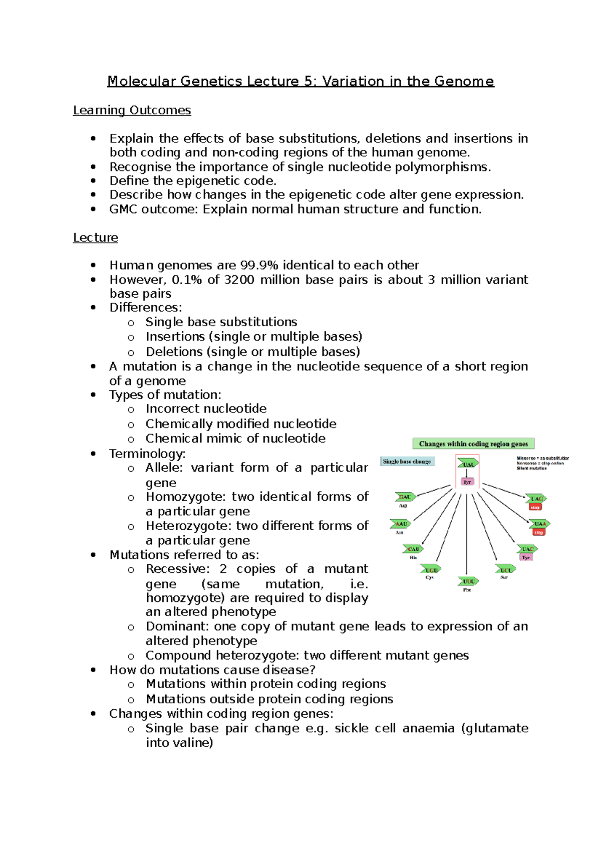 Genetics and Development Lecture 5 - Variation in the Genome ...