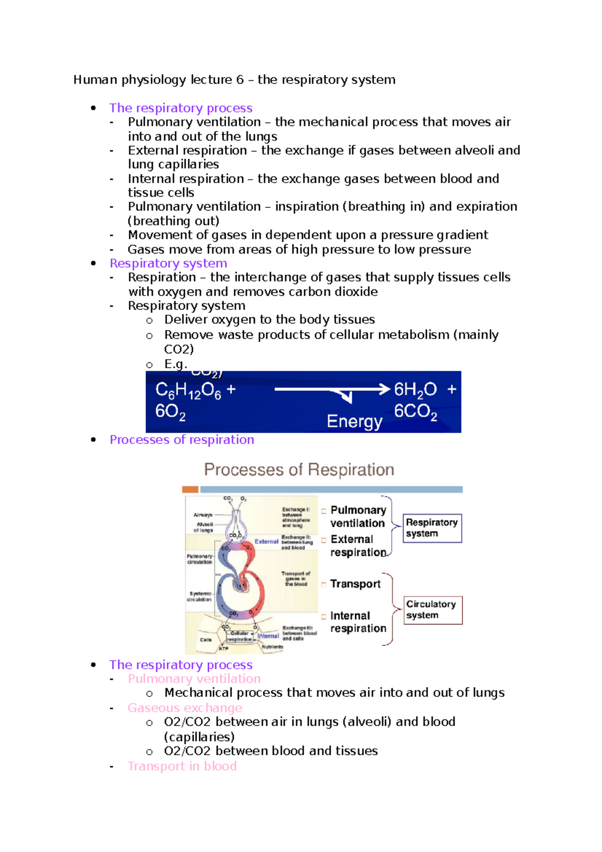 Human physiology lecture 6 - Processes of respiration The respiratory ...