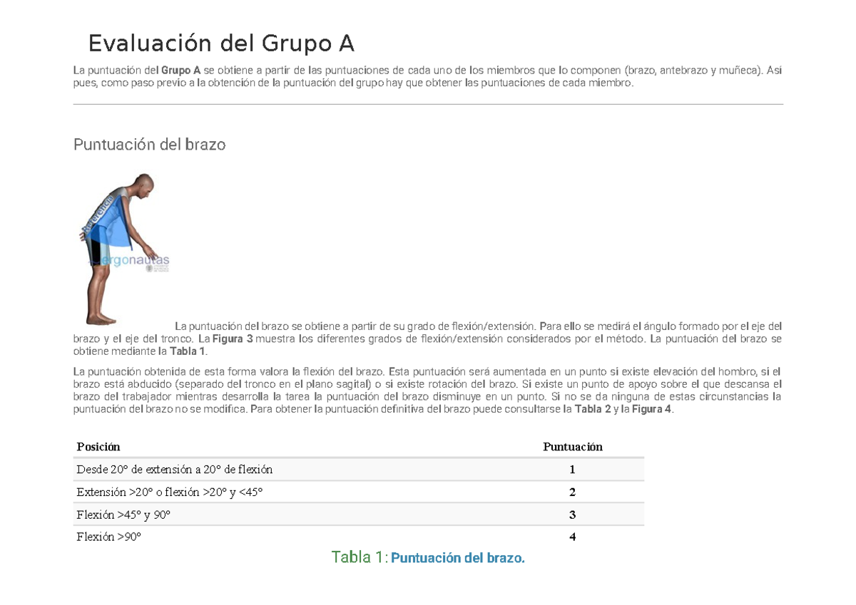Mètodo RULA - el método rula - Evaluación del Grupo A La puntuación del ...