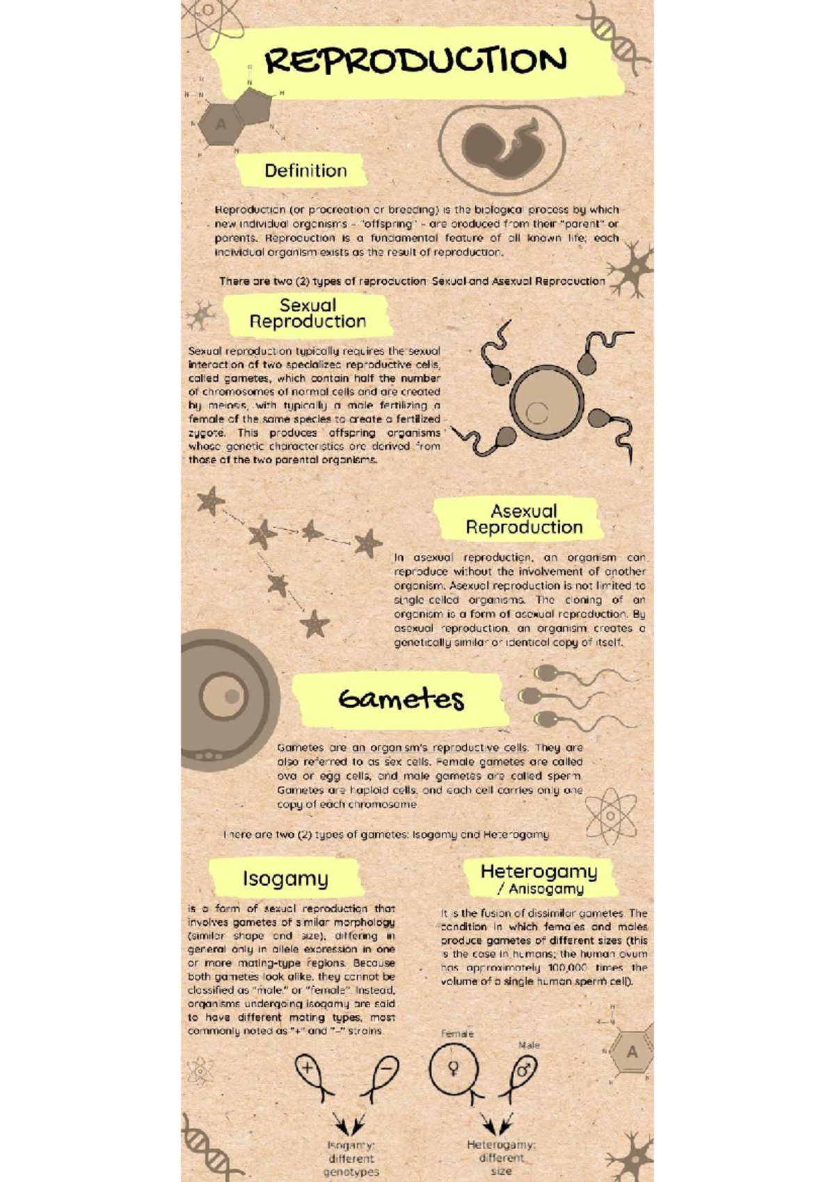 Reproduction Infographic - REPRODUCTION N H N A H Definition ...