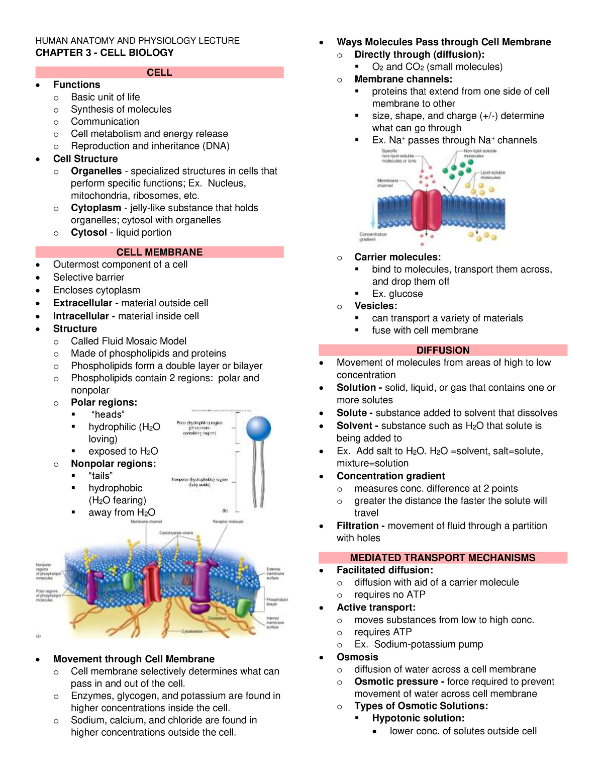 Anatomy and Physiology - 03 Cell Biology - Human Anatomy and Physiology ...