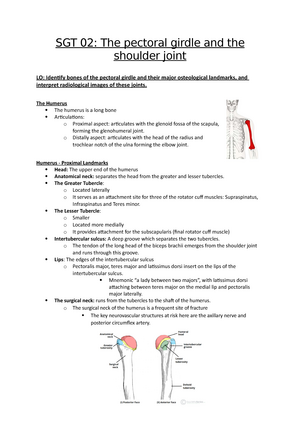 Pectoral Girdle and Shoulder