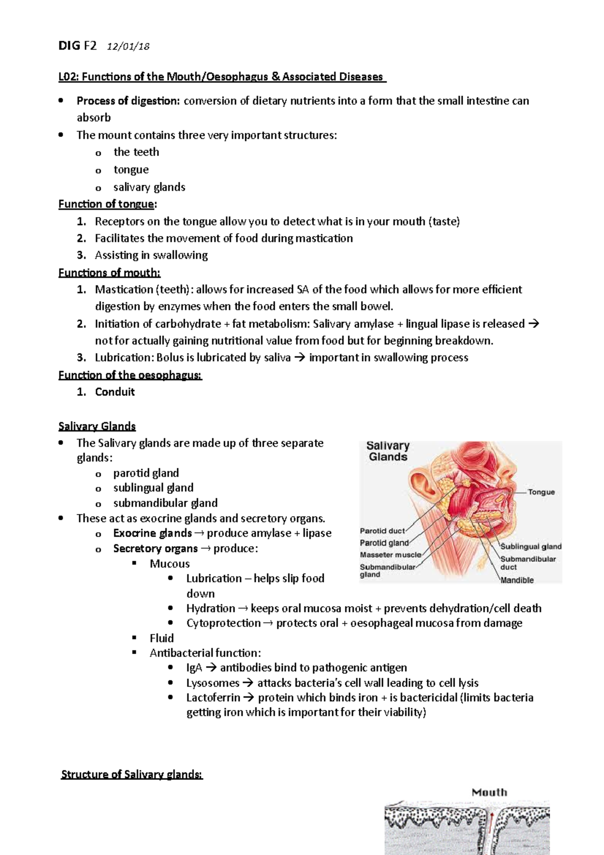 L02 Functions of the Mouth Oesophagus & Associated Diseases - Receptors ...