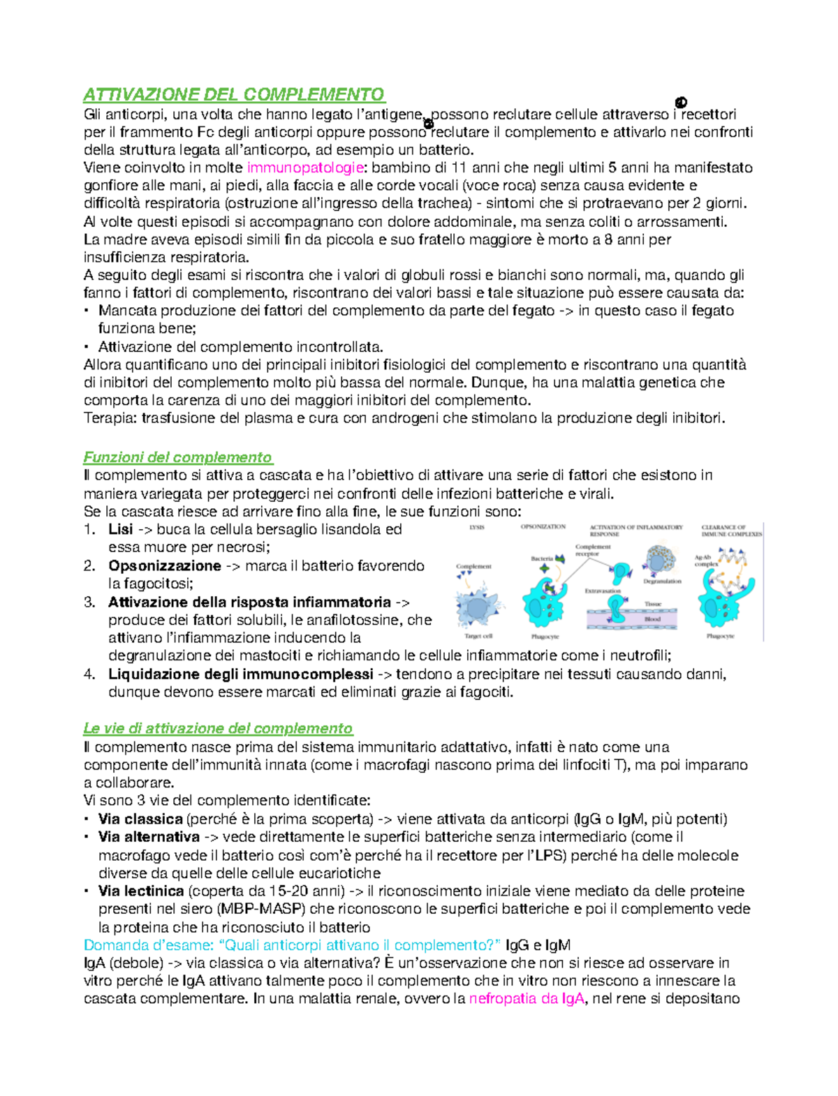 Immunologia - Il Complemento - ATTIVAZIONE DEL COMPLEMENTO Gli ...