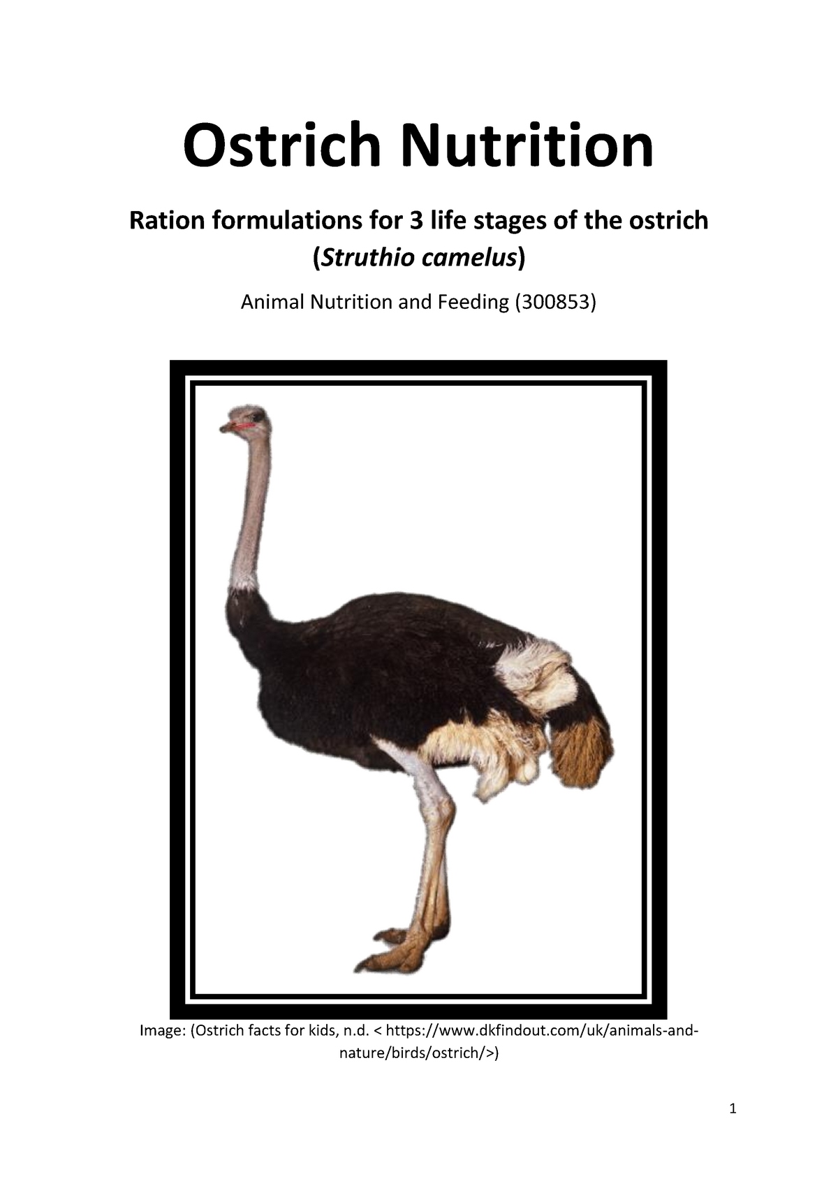 Ostrich Nutrition studocu - Warning: TT: undefined function: 32 Warning:  TT: undefined function: 32 - Studocu