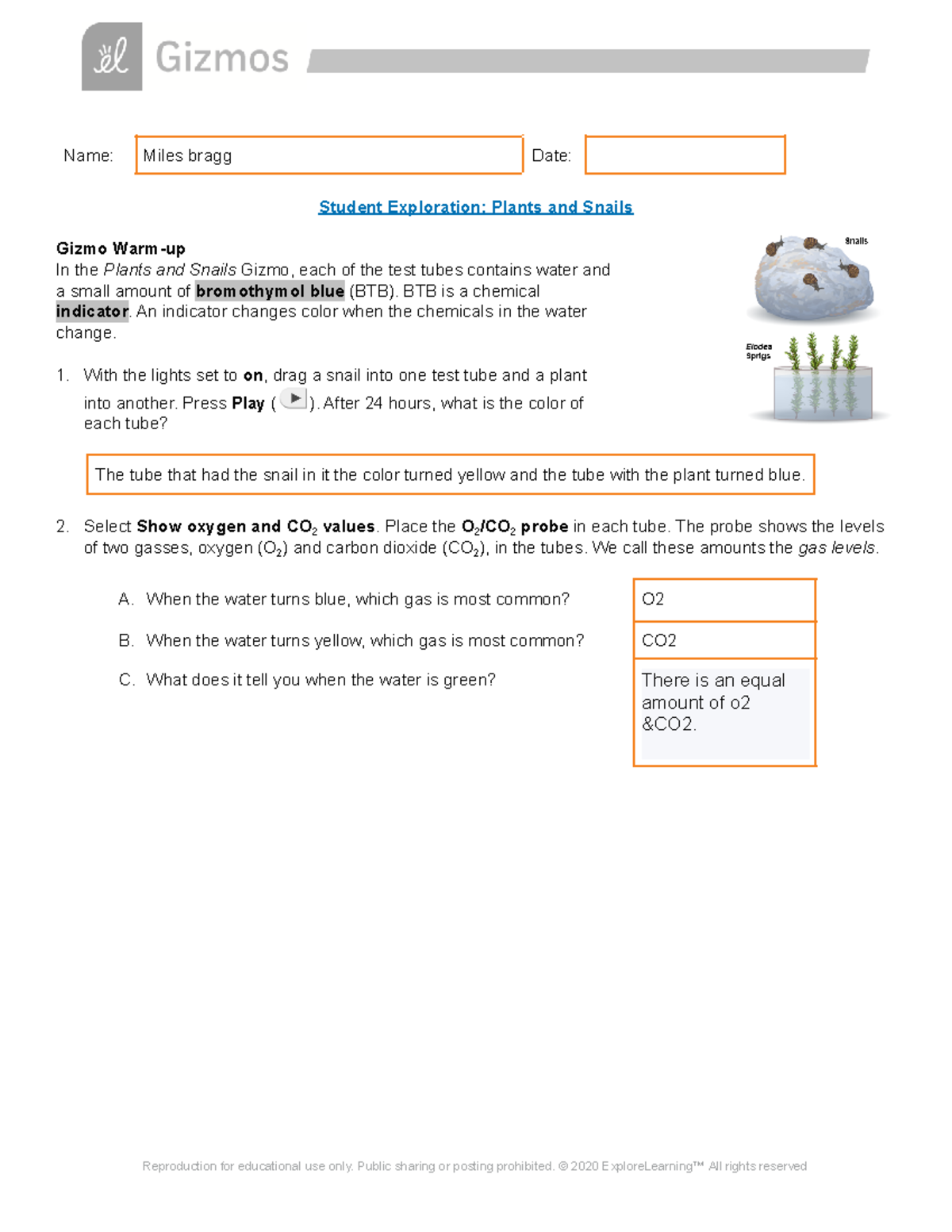 Copy Of Plants Snails SE - Name: Miles Bragg Date: Student Exploration ...