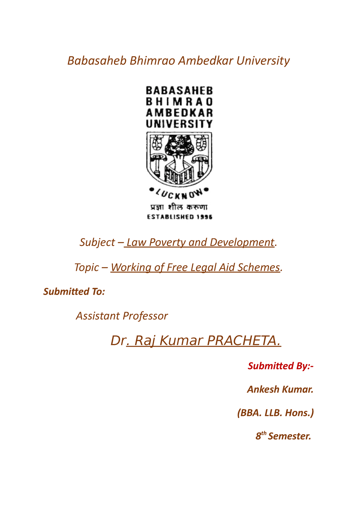 babasaheb ambedkar university assignment