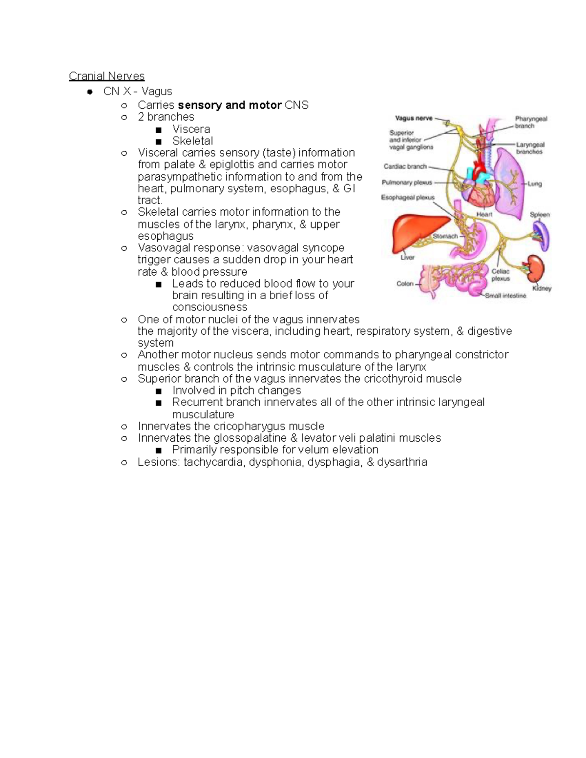 Cranial nerve V - Deprecated API usage: The SVG back-end is no longer ...