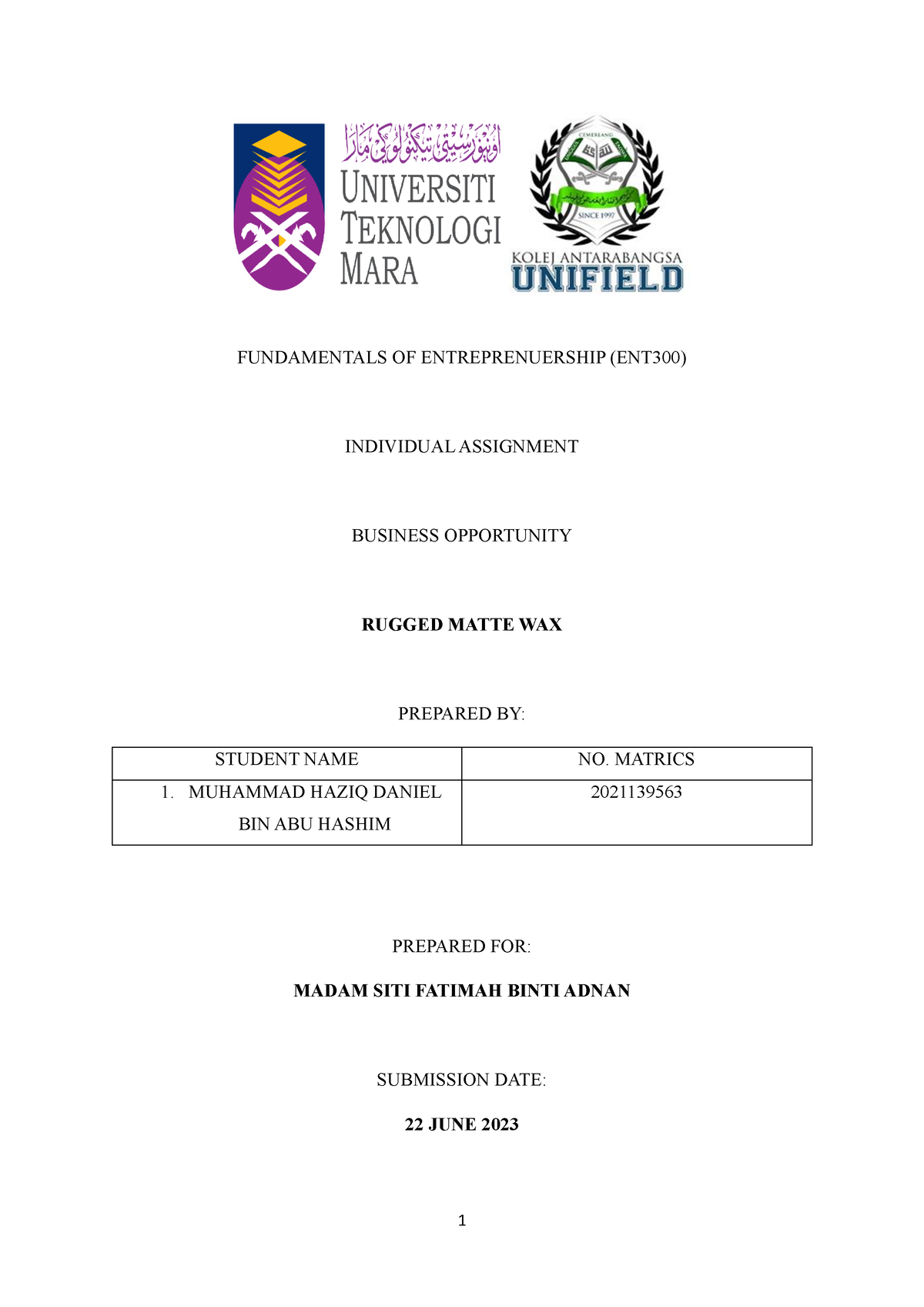 ent300 business plan individual assignment