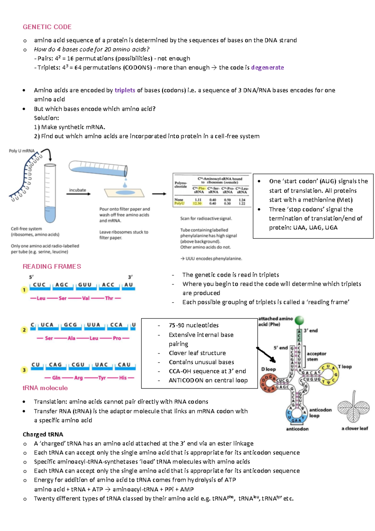 L10 Translation Notes on the lecture CODE o amino acid