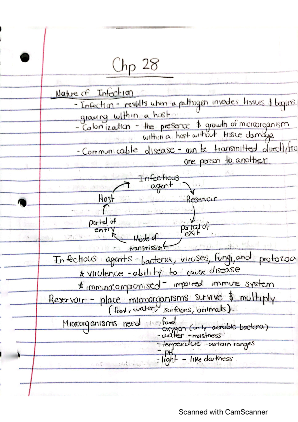 Notes From Ecology Lecture - PCB3043 - Studocu