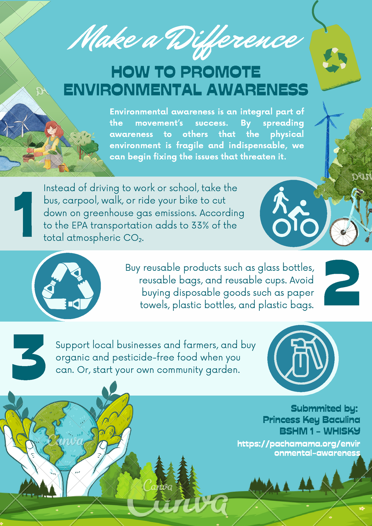 Environmental awareness infographic HOW TO PROMOTE ENVIRONMENTAL