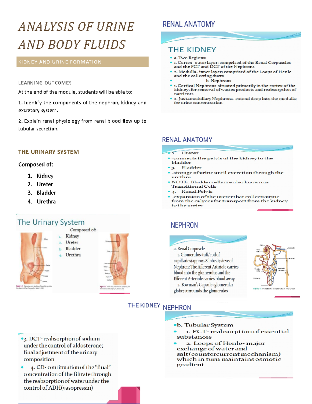 AUBF LEC1 - FEHBEYBDR - ANALYSIS OF URINE AND BODY FLUIDS KIDNEY AND ...