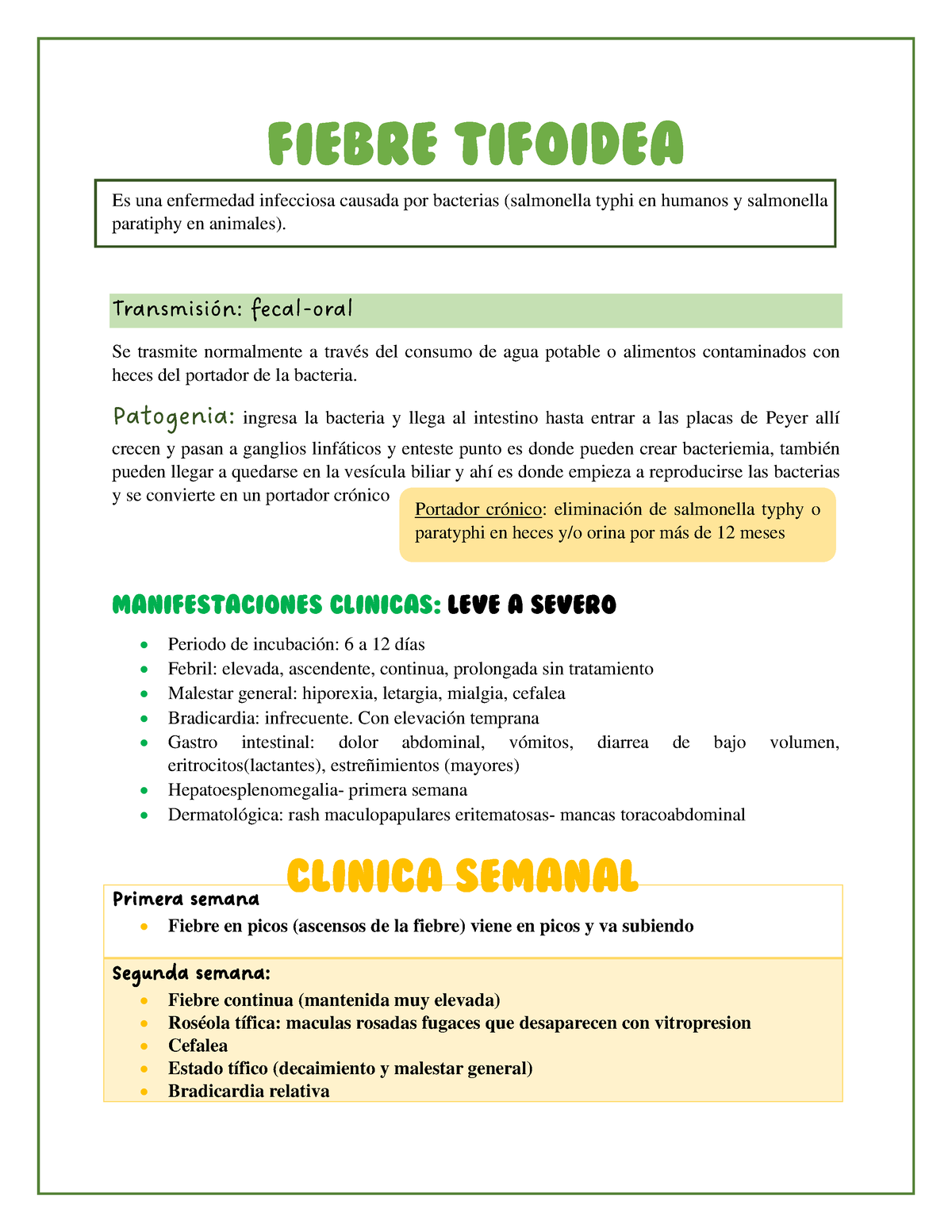 Fiebre Tifoidea - Apuntes De Pediatría - Fiebre Tifoidea Es Una ...