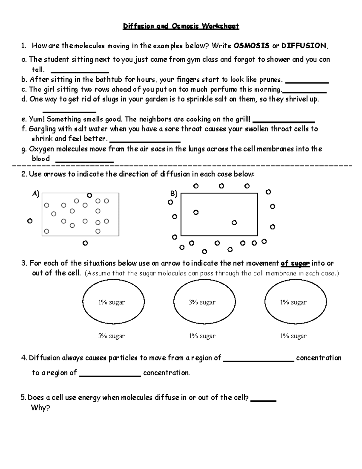Diffusion and osmosis worksheet Diffusion and Osmosis Worksheet How