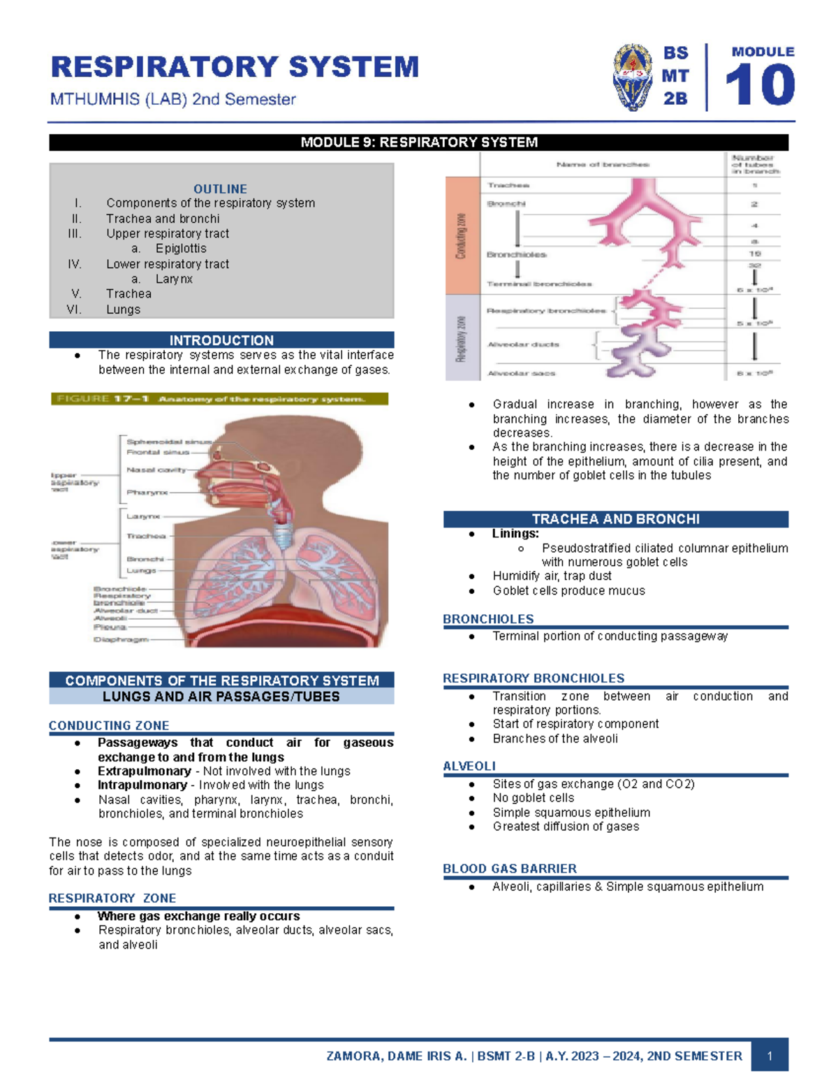 Histo LAB MOD 10 - OUTLINE I. Components of the respiratory system II ...